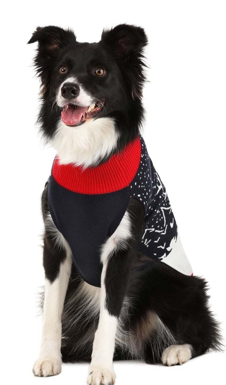 Reindeer & Santa Christmas Dog Sweater New NWT Small Xmas Holiday Cute - Picture 3 of 4